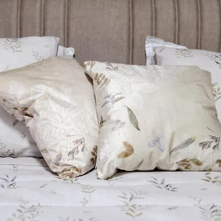 Romantic Loft With Jacuzzi Bath Near Center 普罗夫迪夫